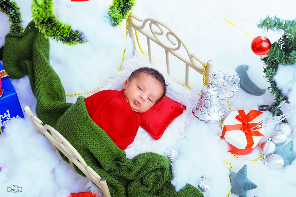 Newborn Christmas Theme 105